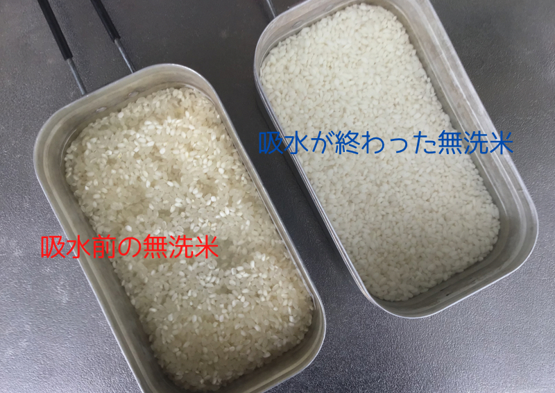 吸水前の無洗米と吸水後の無洗米を比較