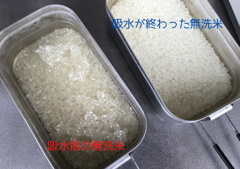 吸水前の無洗米と吸水後の無洗米を比較