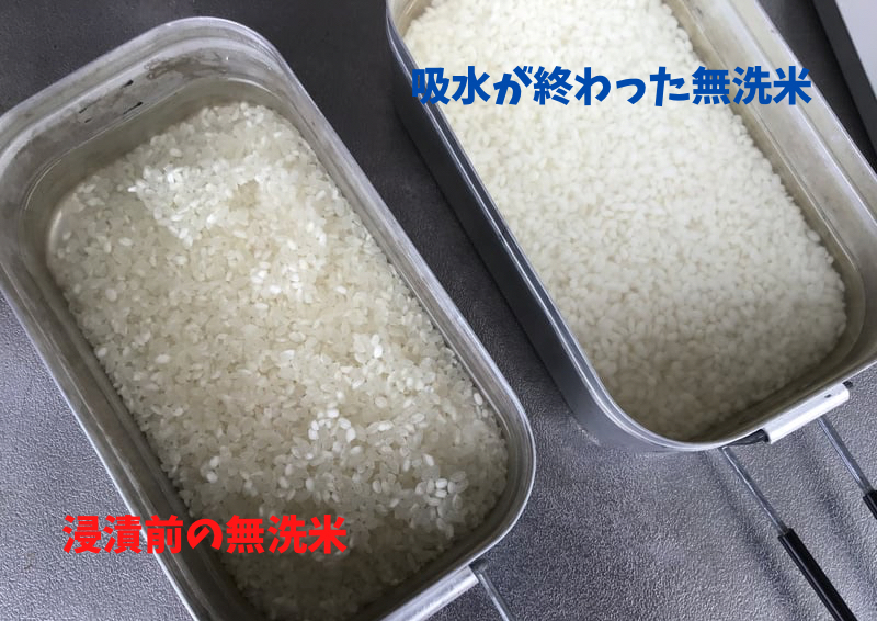 浸漬前の無洗米と吸水後の無洗米の比較
